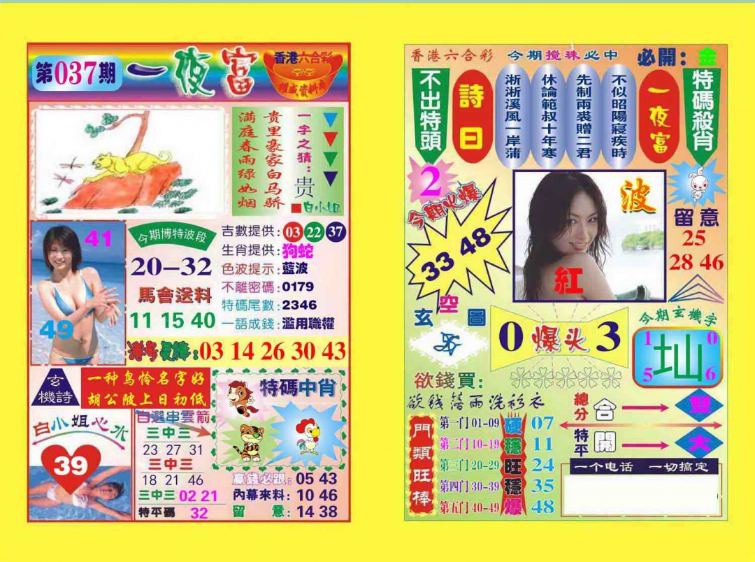 037期一夜富[图]