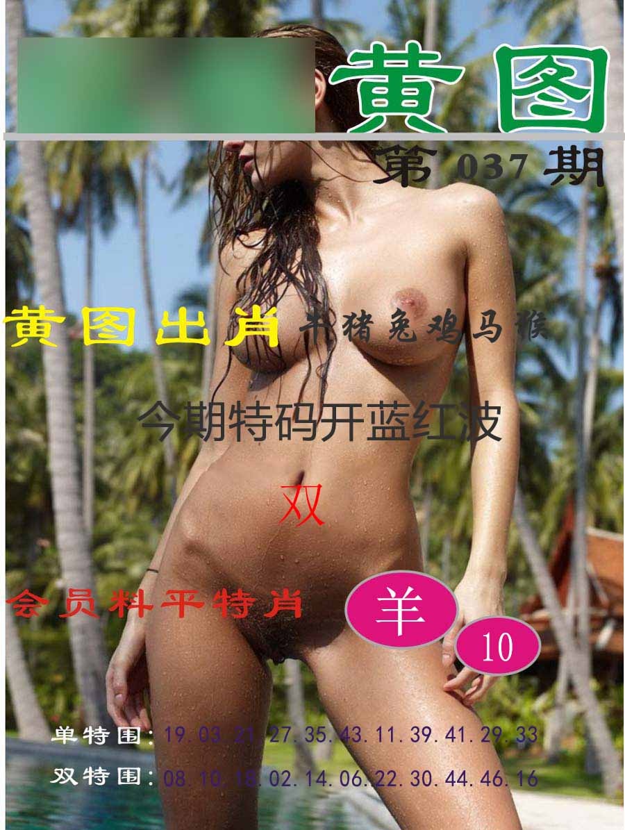 037期黄图[图]